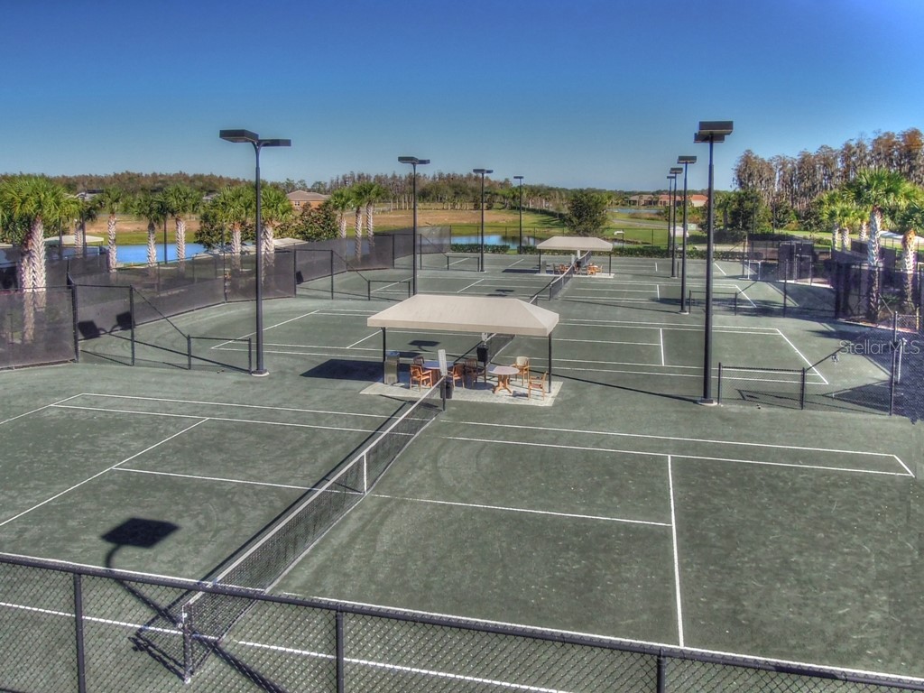16158 Amethyst Key Drive Wimauma FL 33598 TB8481360 image35