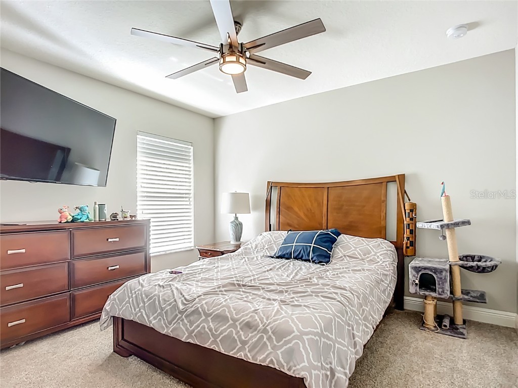 16158 Bridgepark Drive Lithia FL 33547 TB8444579 image33