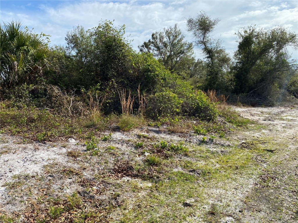 1616/1999 Coastal/Broadpoint Drive Punta Gorda FL 33983 TB8376042 image3