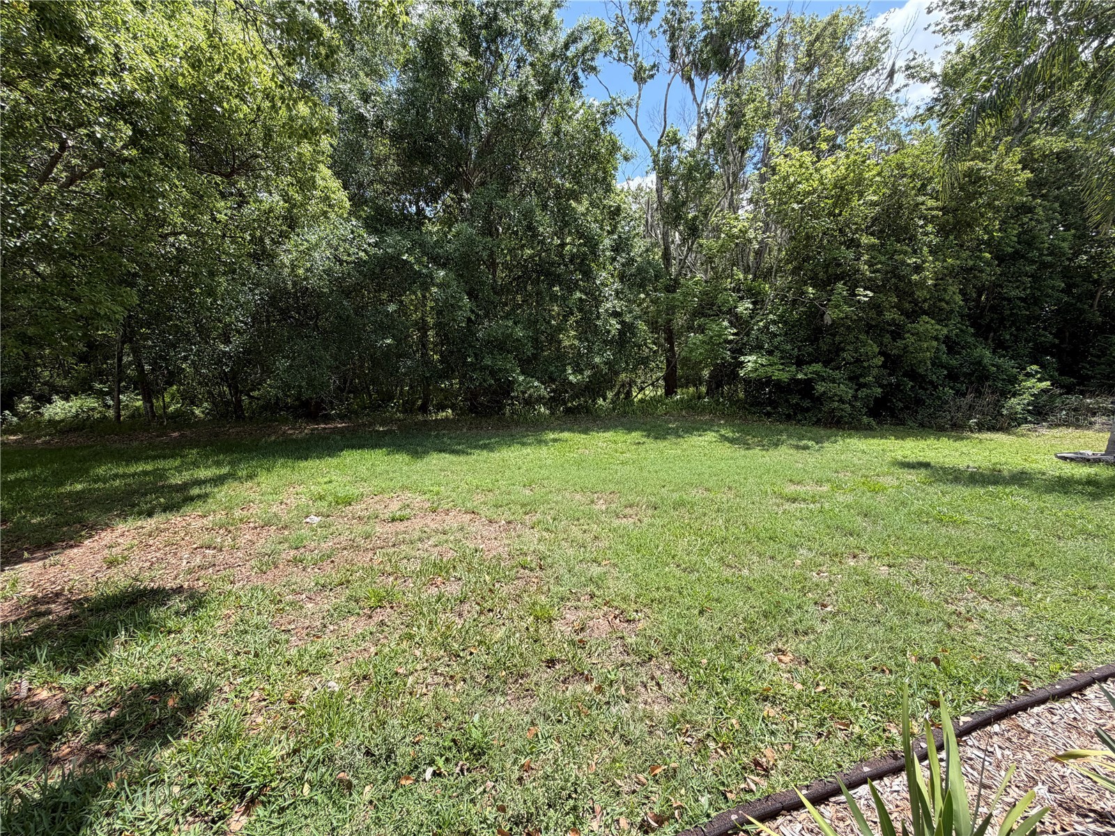 1616 Kinsmere Drive Trinity FL 34655 W7884771 image26