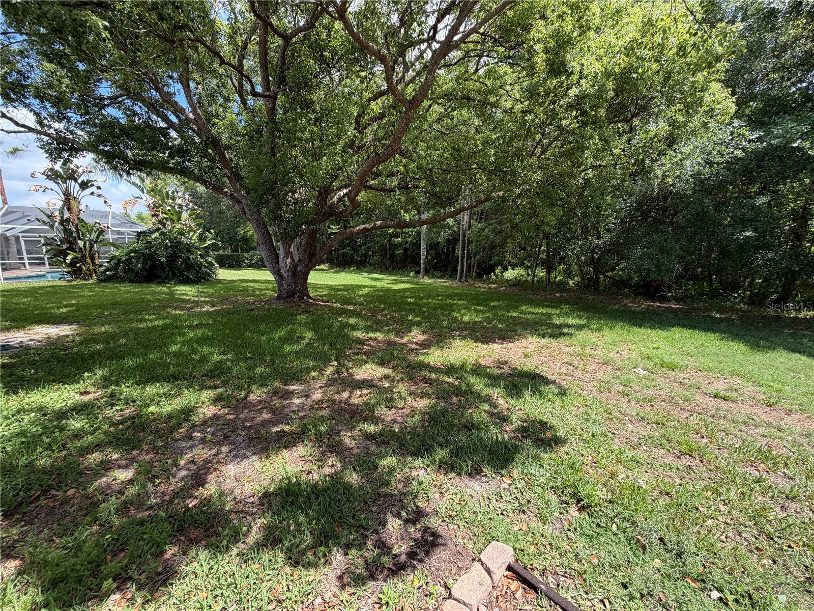 1616 Kinsmere Drive Trinity FL 34655 W7884771 image27