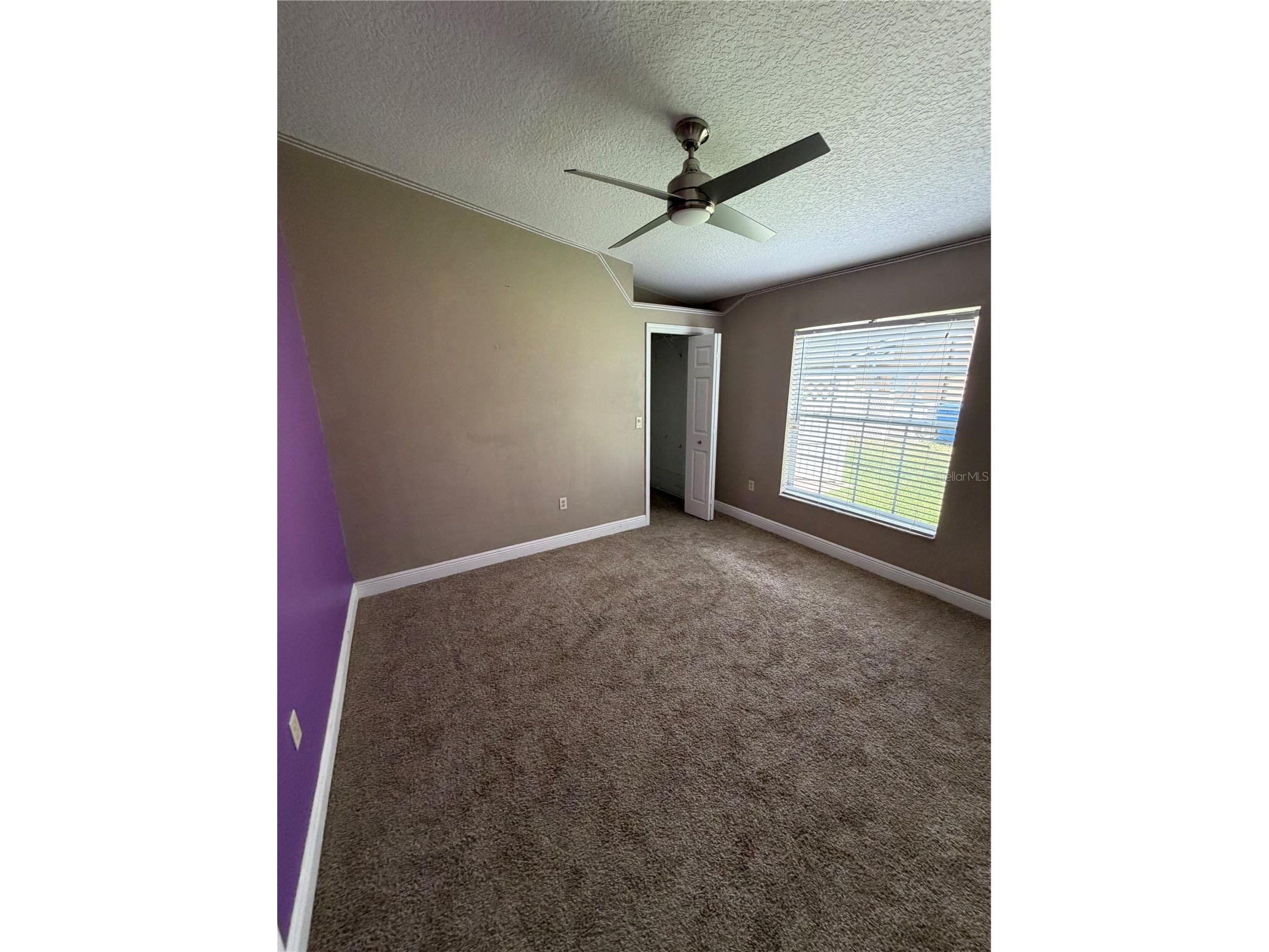 1616 Kinsmere Drive Trinity FL 34655 W7884771 image38