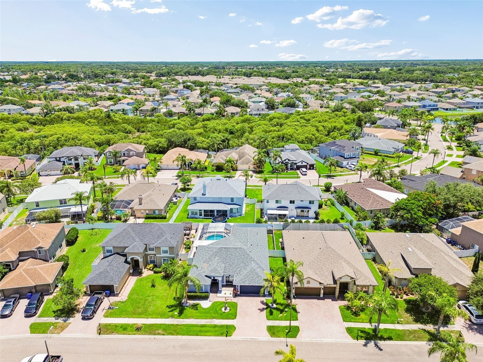 1616 Regal Mist Loop Trinity FL 34655 W7885939 image86