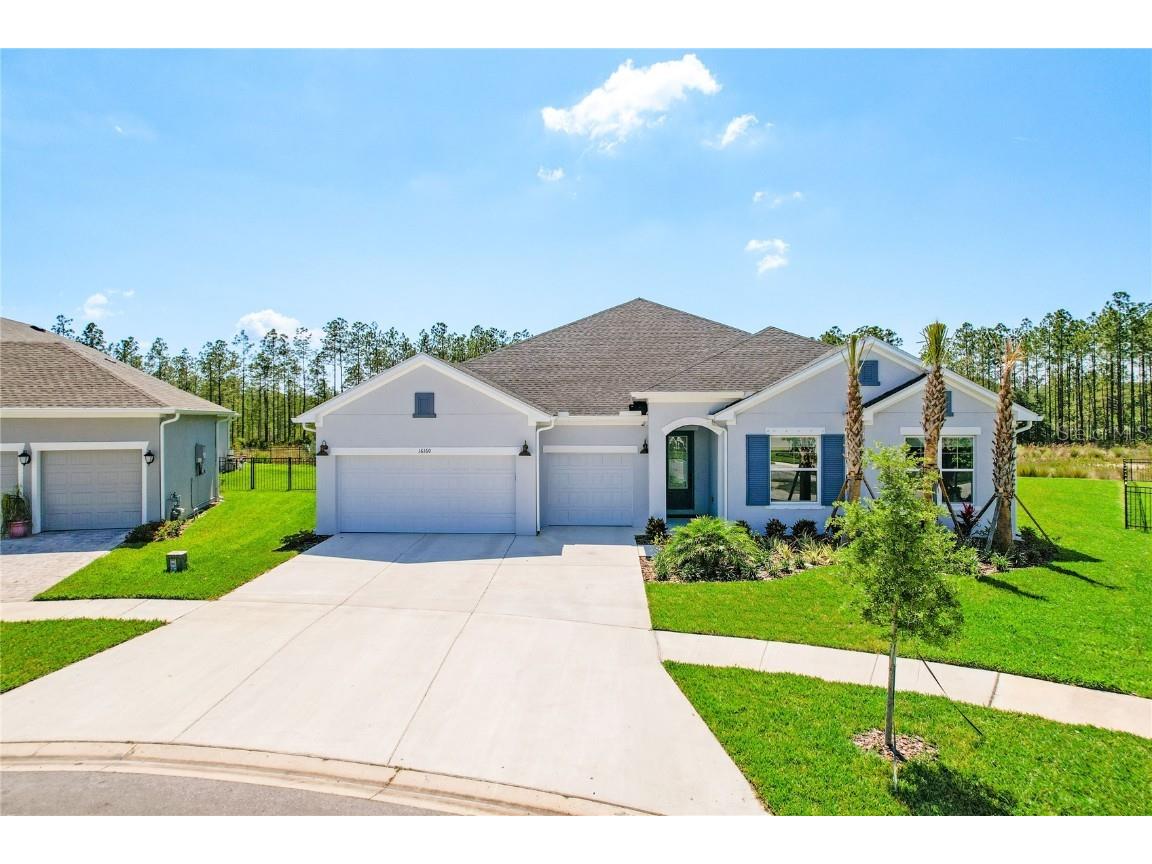 16160 November Rain Court Land O Lakes FL 34638 T3443176 image1