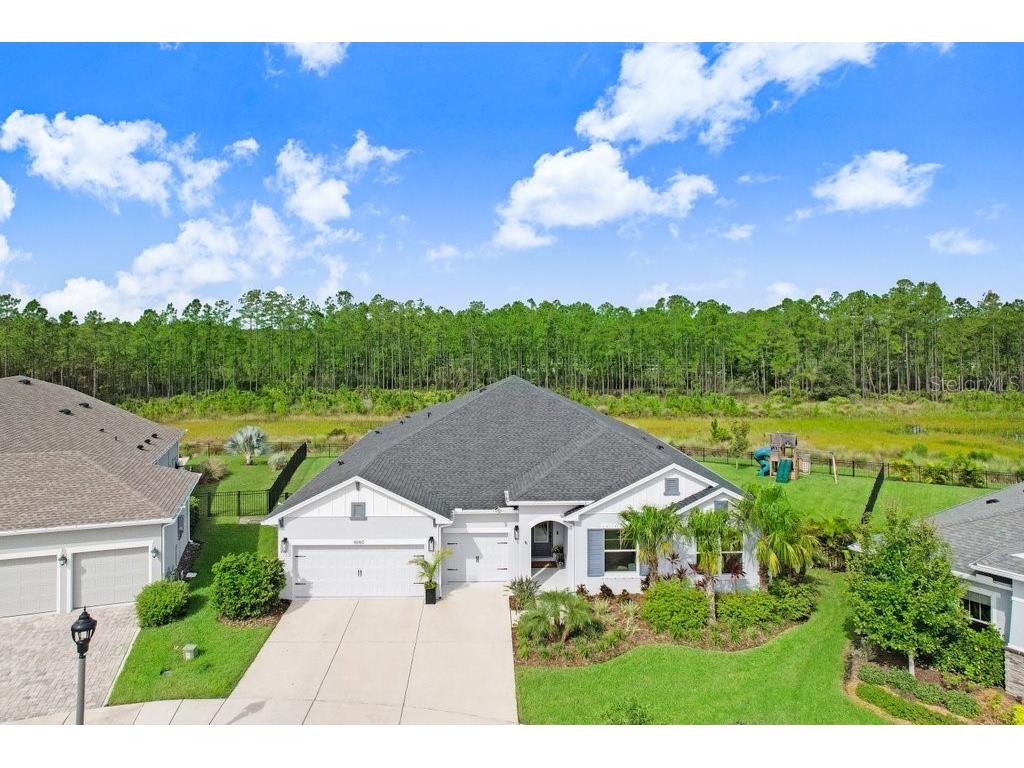 16160 November Rain Court Land O Lakes FL 34638 TB8424929 image1