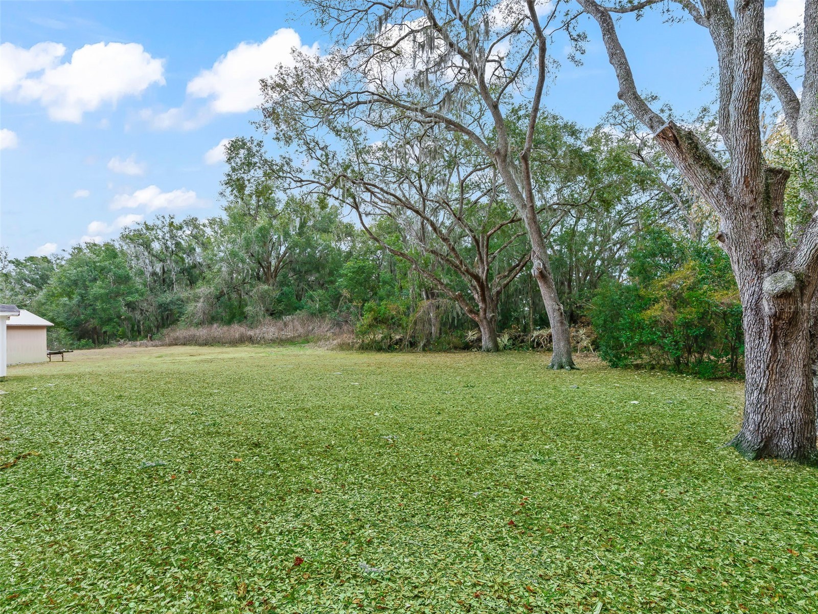 16160 SE 97th Terr Road Summerfield FL 34491 G5107893 image34
