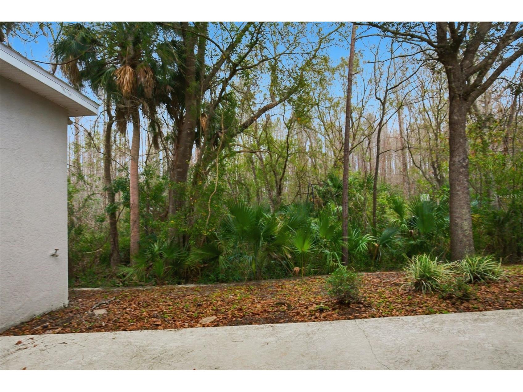 16161 Colchester Palms Drive Tampa FL 33647 O6367128 image42