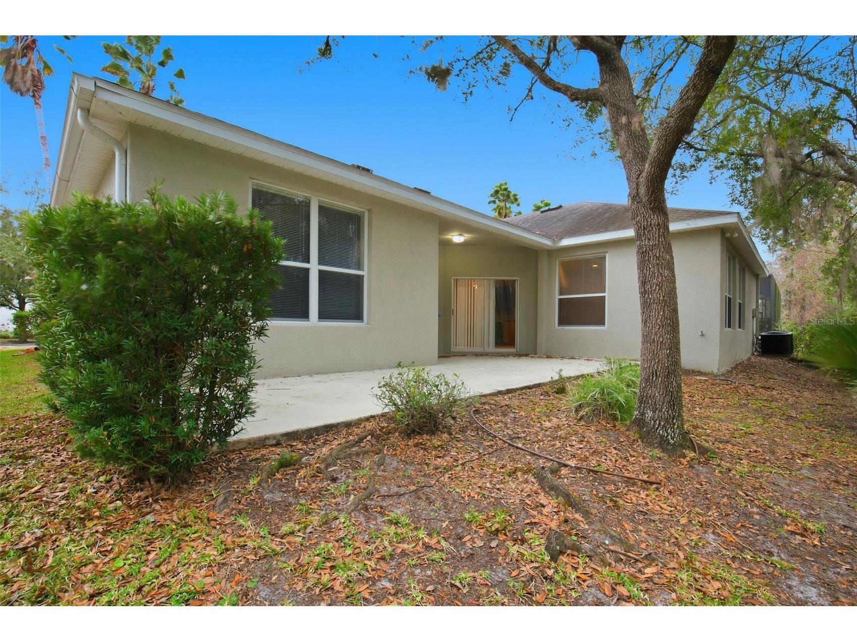 16161 Colchester Palms Drive Tampa FL 33647 O6367128 image44