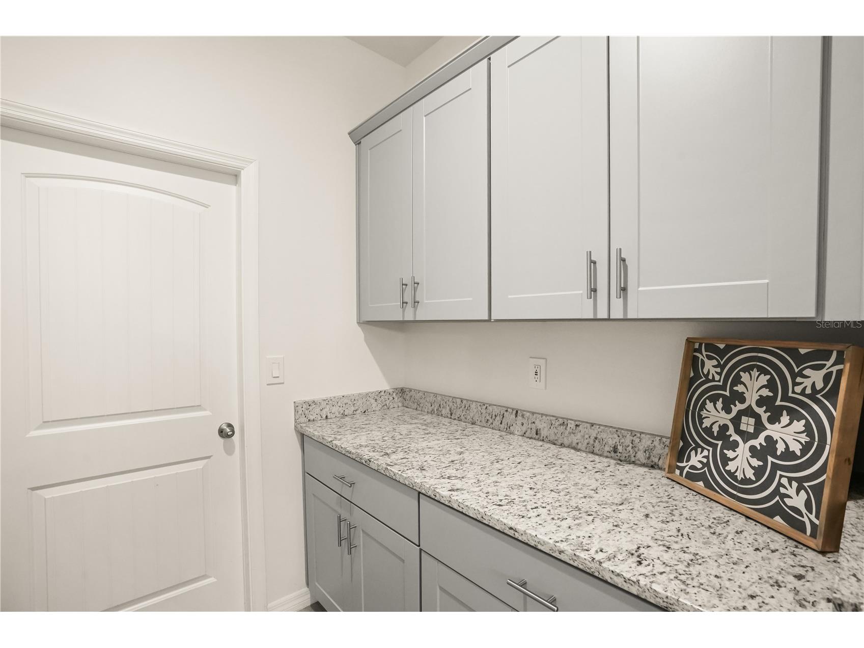16161 Mangrove Road Winter Garden FL 34787 O6420311 image29