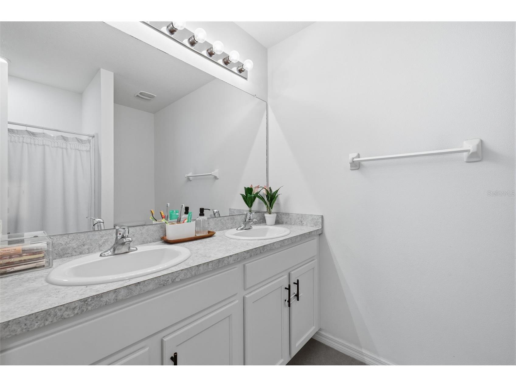 16163 Silent Sands Lane Odessa FL 33556 TB8525434 image17