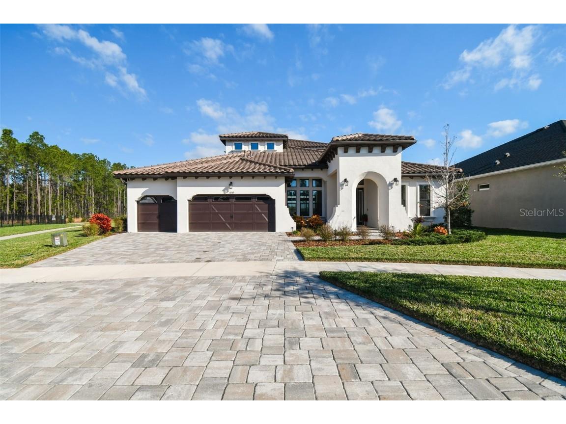 16165 November Rain Court Land O Lakes FL 34638 T3501625 image1