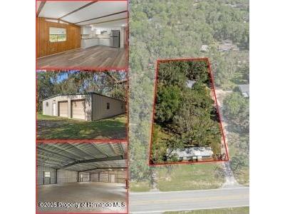 16165 Wiscon Road Brooksville FL 34601 W7878129 image1