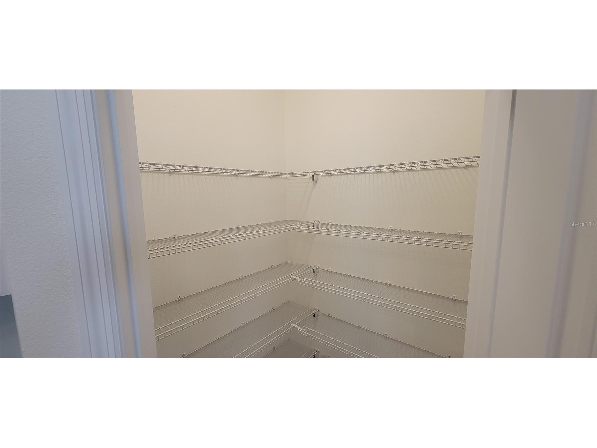 16167 Mangrove Road Winter Garden FL 34787 O6413382 image15
