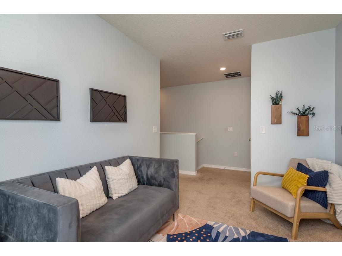 16168 Glowing Grove Avenue Odessa FL 33556 TB8450935 image24