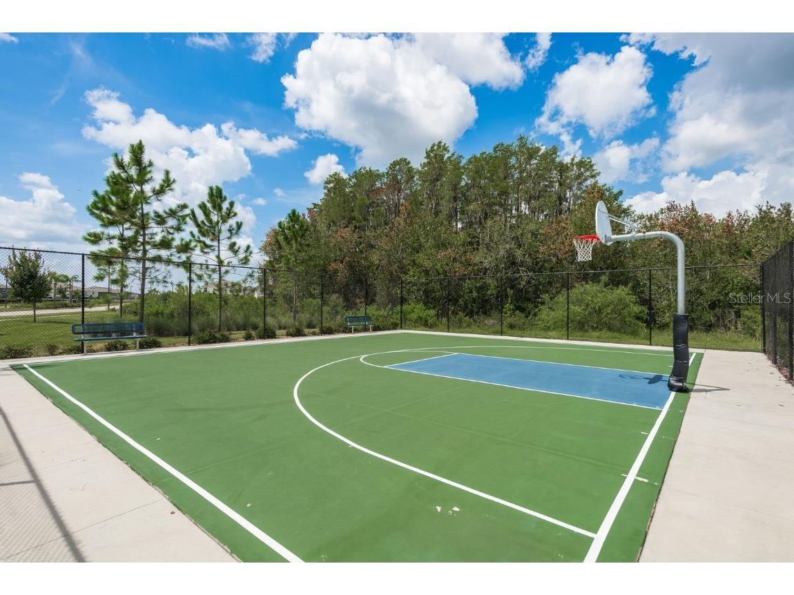 16168 Glowing Grove Avenue Odessa FL 33556 TB8450935 image38