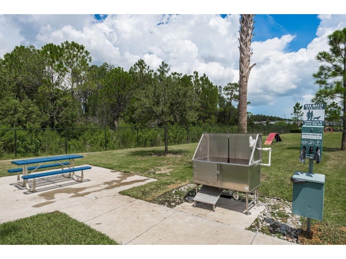 16168 Glowing Grove Avenue Odessa FL 33556 TB8450935 image40