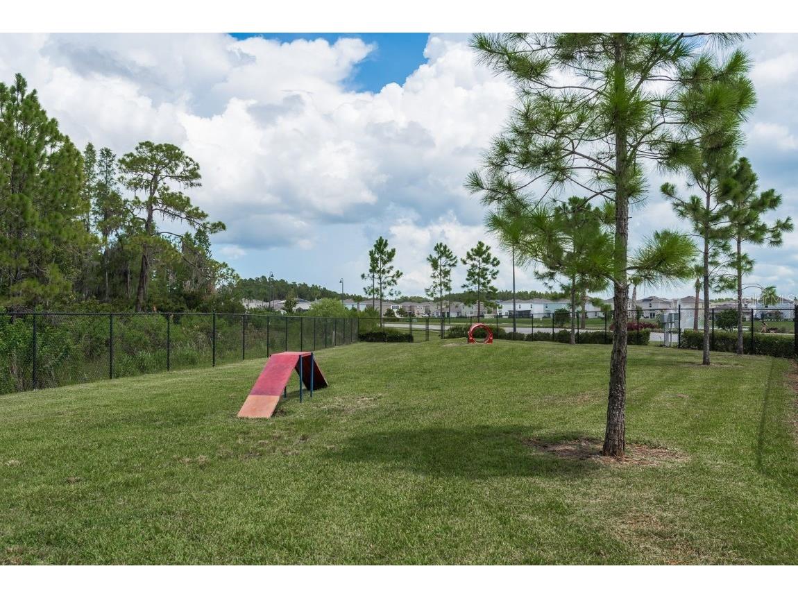 16168 Glowing Grove Avenue Odessa FL 33556 TB8450935 image41