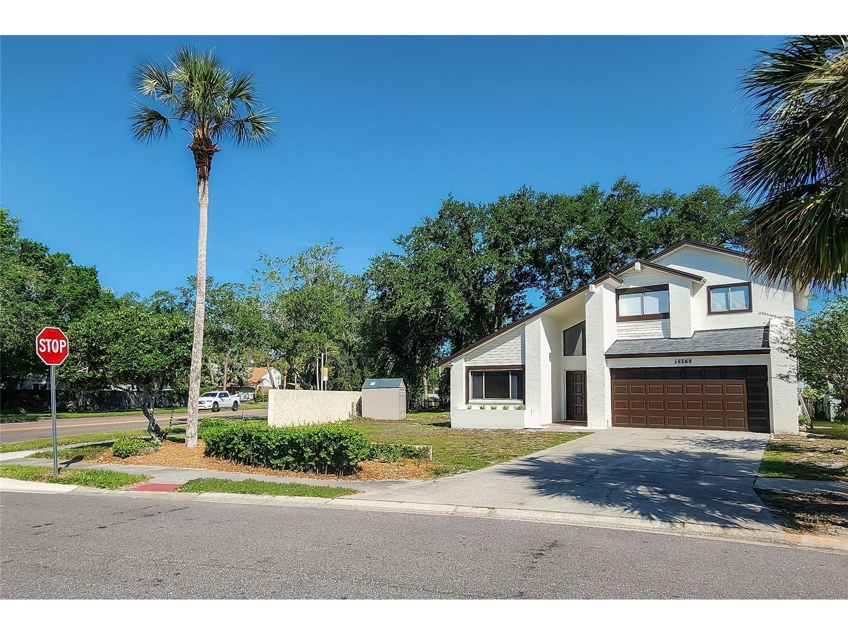 16169 Gardendale Drive Tampa FL 33624 TB8500281 image3