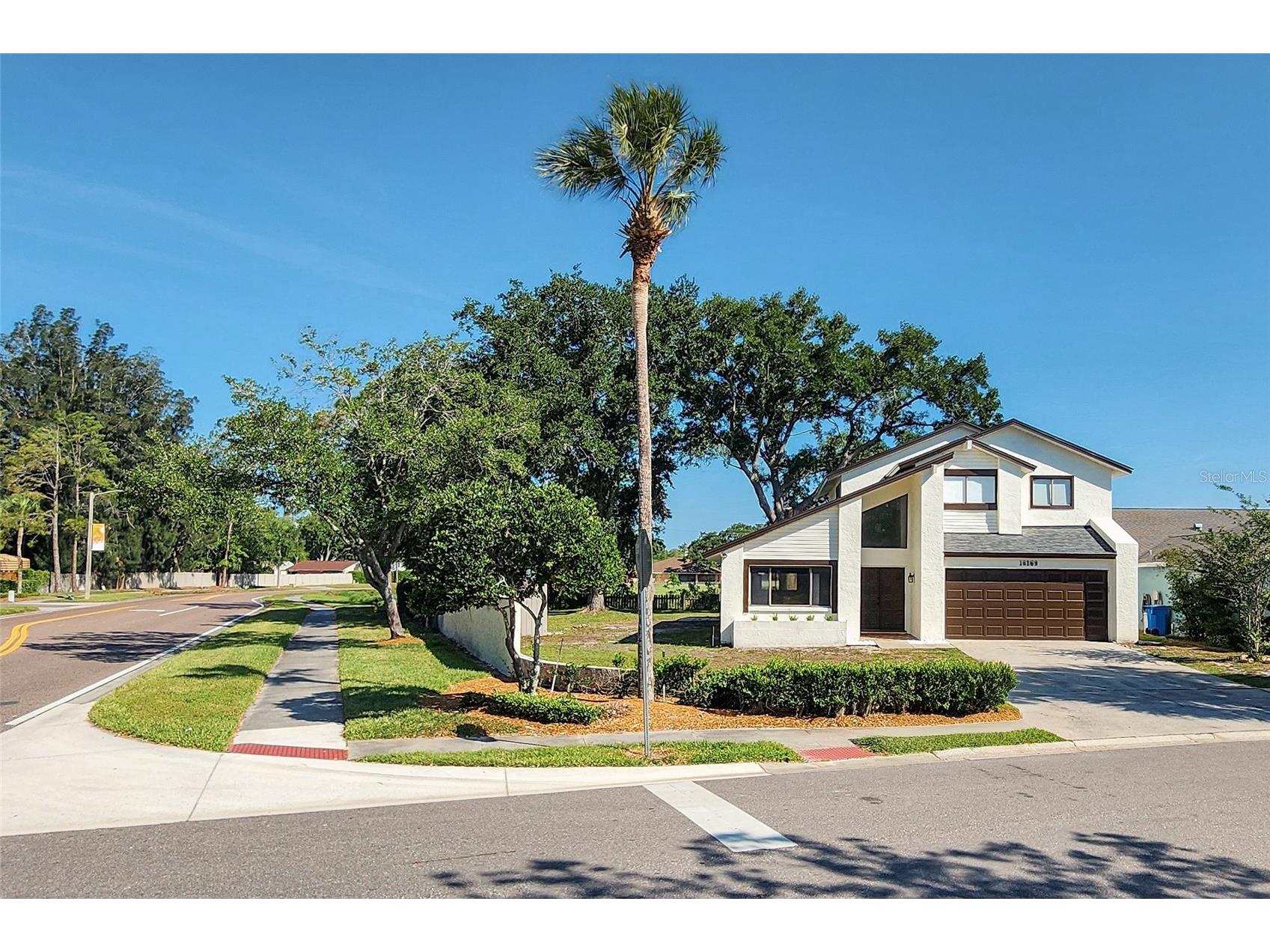 16169 Gardendale Drive Tampa FL 33624 TB8500281 image4