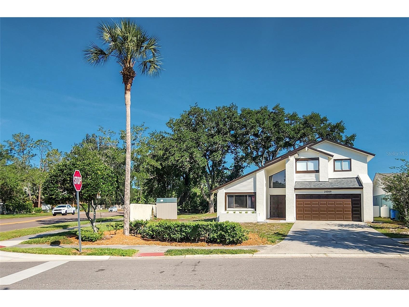 16169 Gardendale Drive Tampa FL 33624 TB8500281 image5