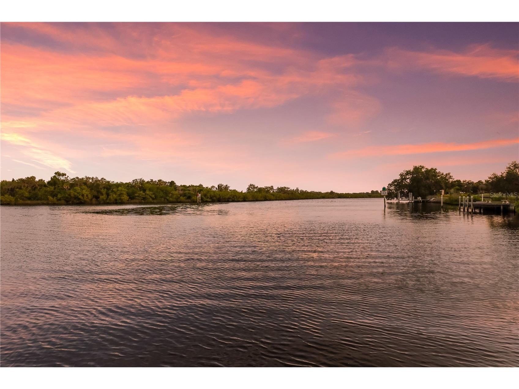 1617 Channelside Place Parrish FL 34219 - MANATEE RIVER A4682404 image46