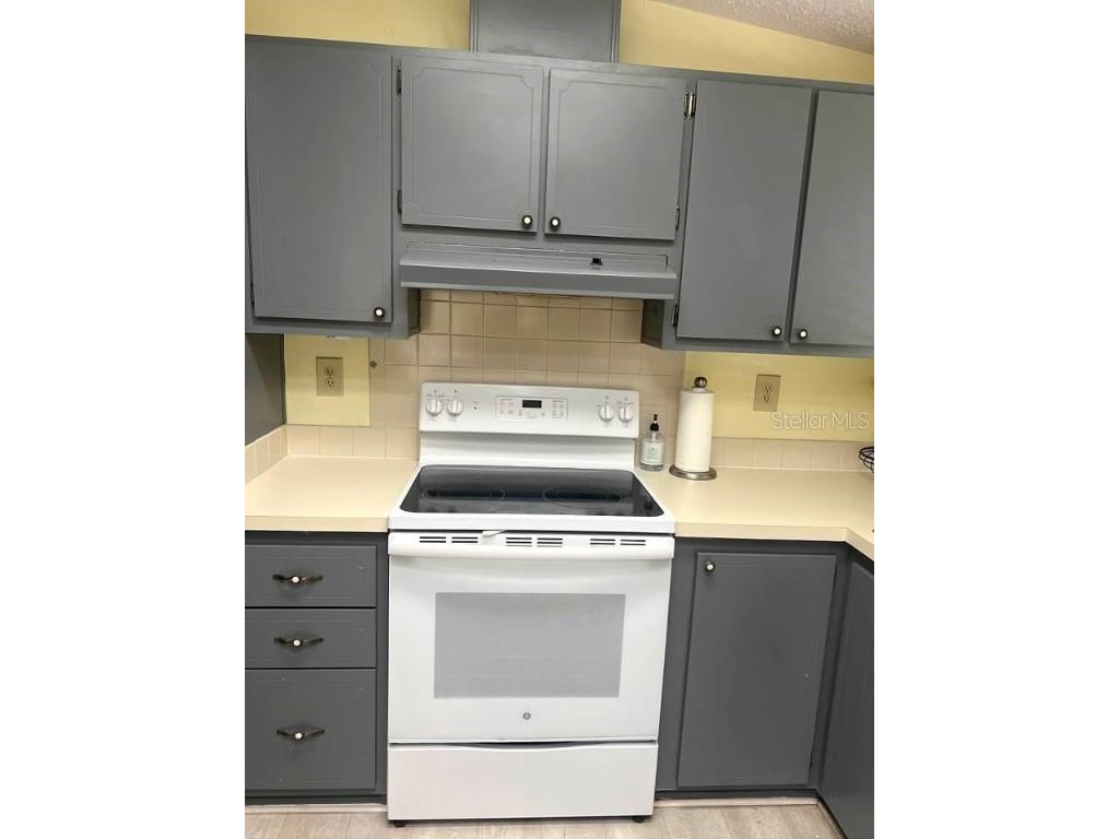 1617 Hilton Head Boulevard Lady Lake FL 32159 G5102331 image7