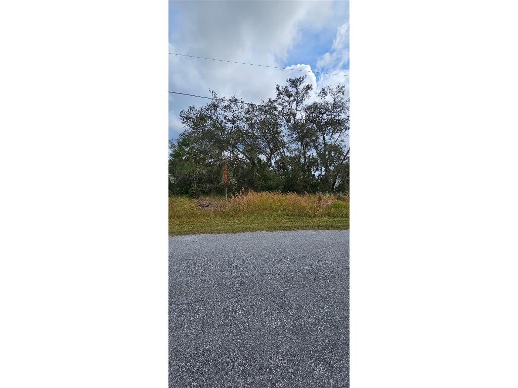 1617 Pickerel Court Poinciana FL 34759 OM668829 image1