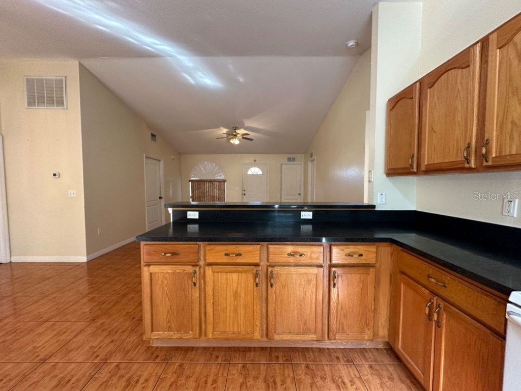 1617 Redfin Drive Poinciana FL 34759 S5128421 image13