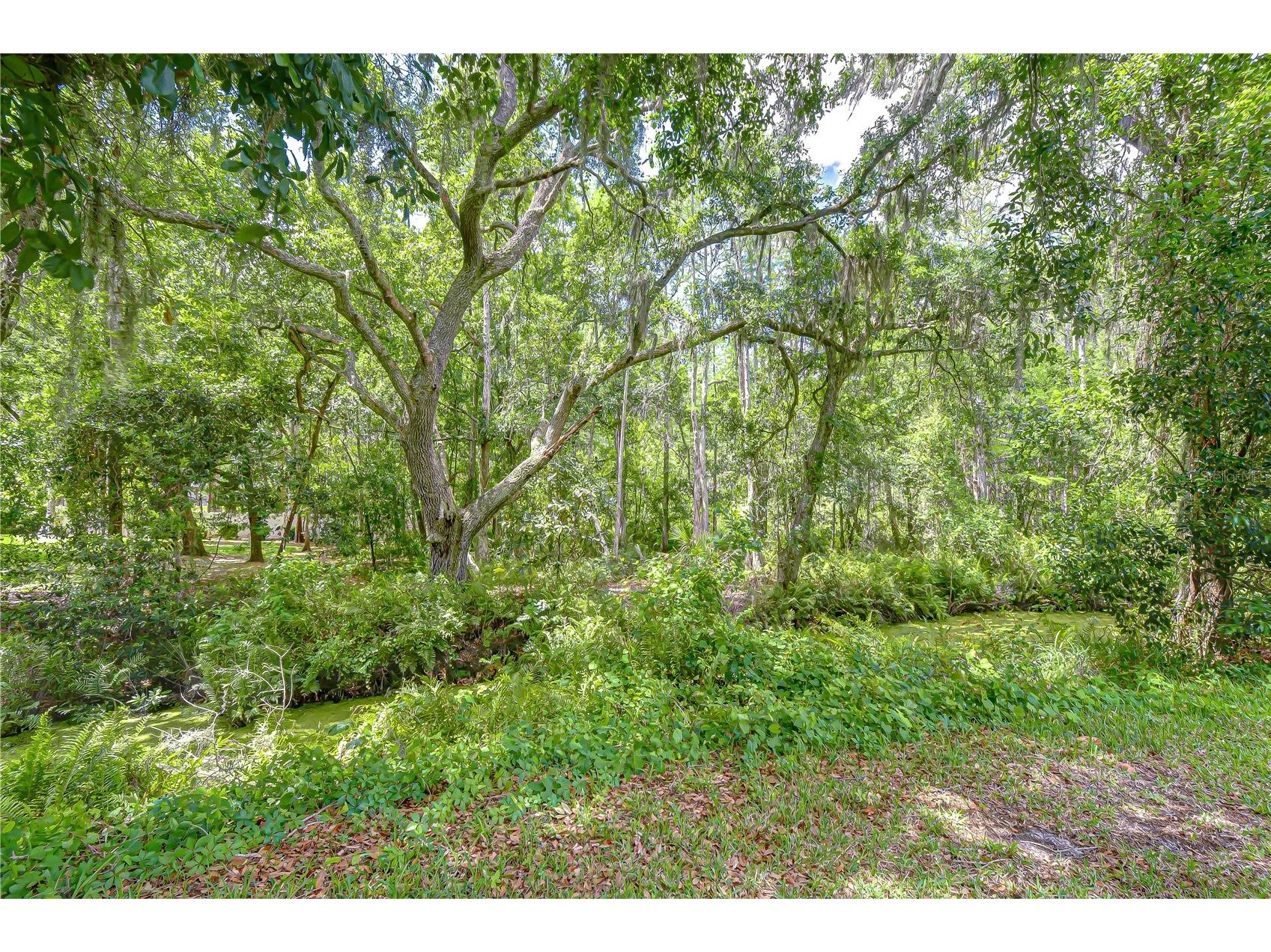 16170 Armistead Lane Odessa FL 33556 TB8491535 image76