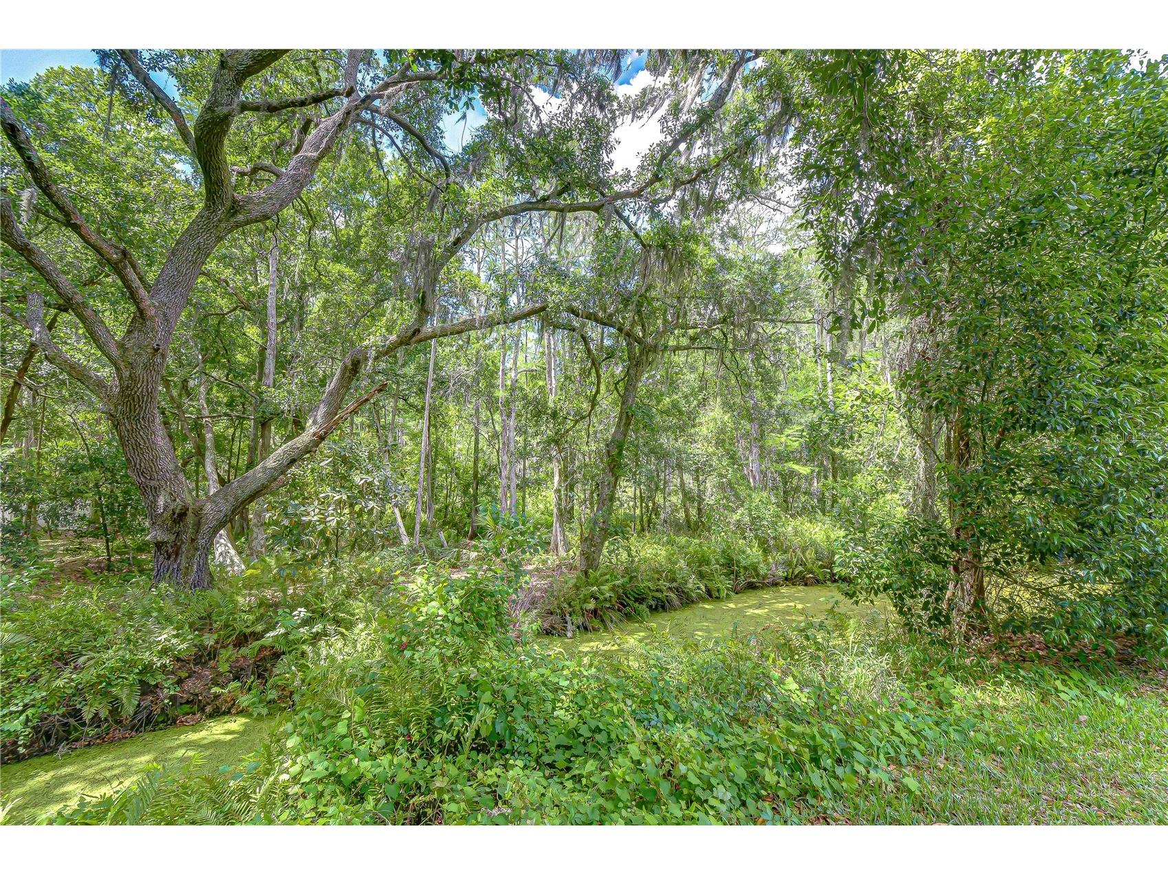 16170 Armistead Lane Odessa FL 33556 TB8491535 image77