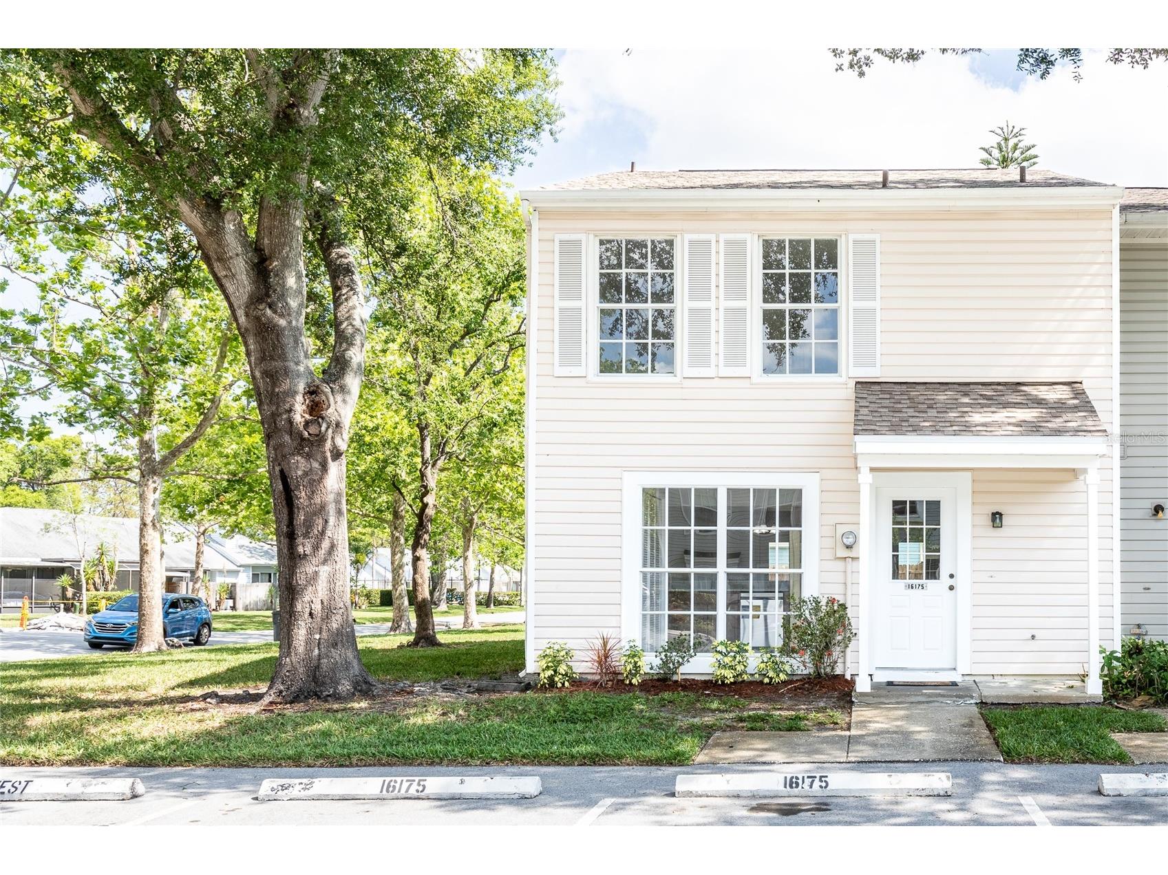 16175 Rambling Vine Drive E Tampa FL 33624 TB8431771 image1