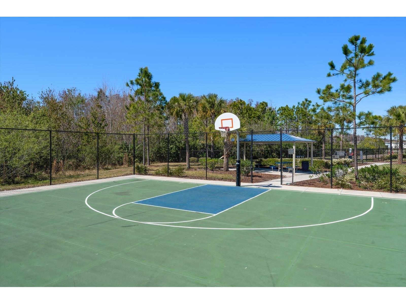 16176 Soft Fern Trace Odessa FL 33556 TB8480392 image42