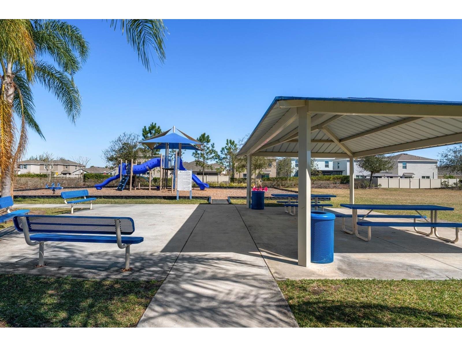 16176 Soft Fern Trace Odessa FL 33556 TB8480392 image44
