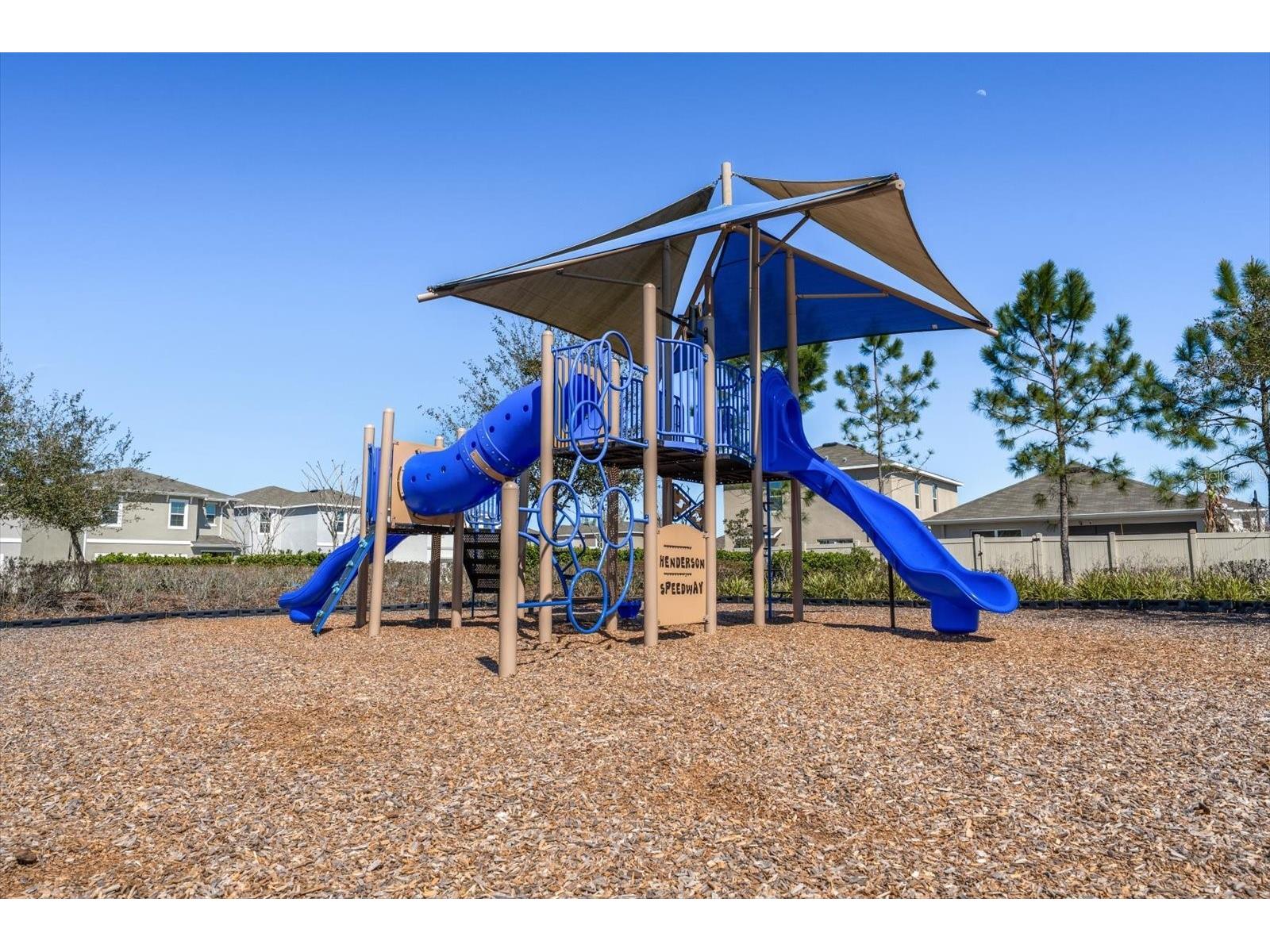 16176 Soft Fern Trace Odessa FL 33556 TB8480392 image45