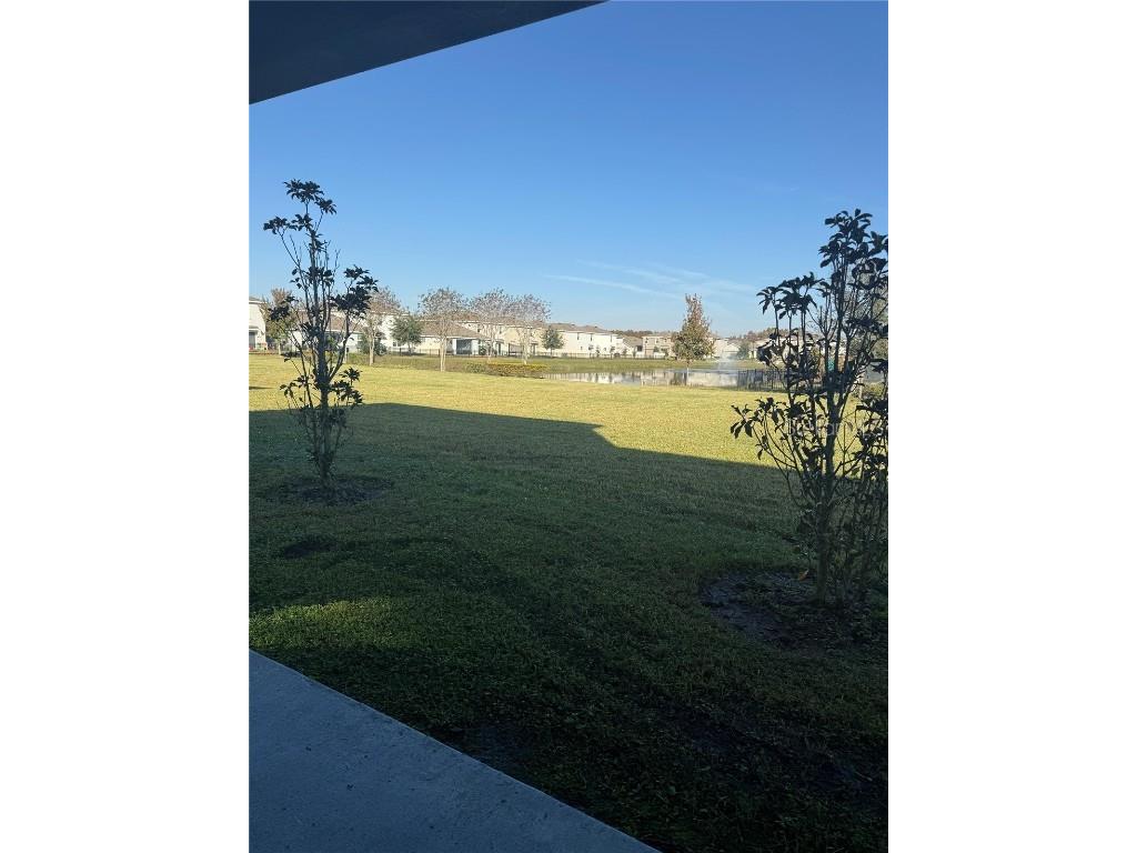 16177 Glowing Grove Avenue Odessa FL 33556 TB8449833 image13