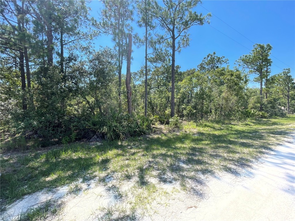 16179 Meadow Plover Road Weeki Wachee FL 34614 T3379923 image1