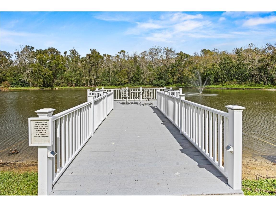 1618 Birchwood Loop Lakeland FL 33811 L4947880 image42