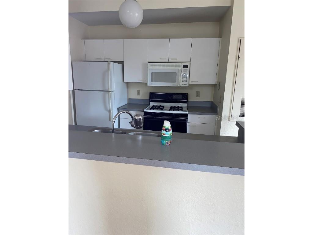 1618 Columbia Arms Circle #259 Kissimmee FL 34741 S5124936 image8