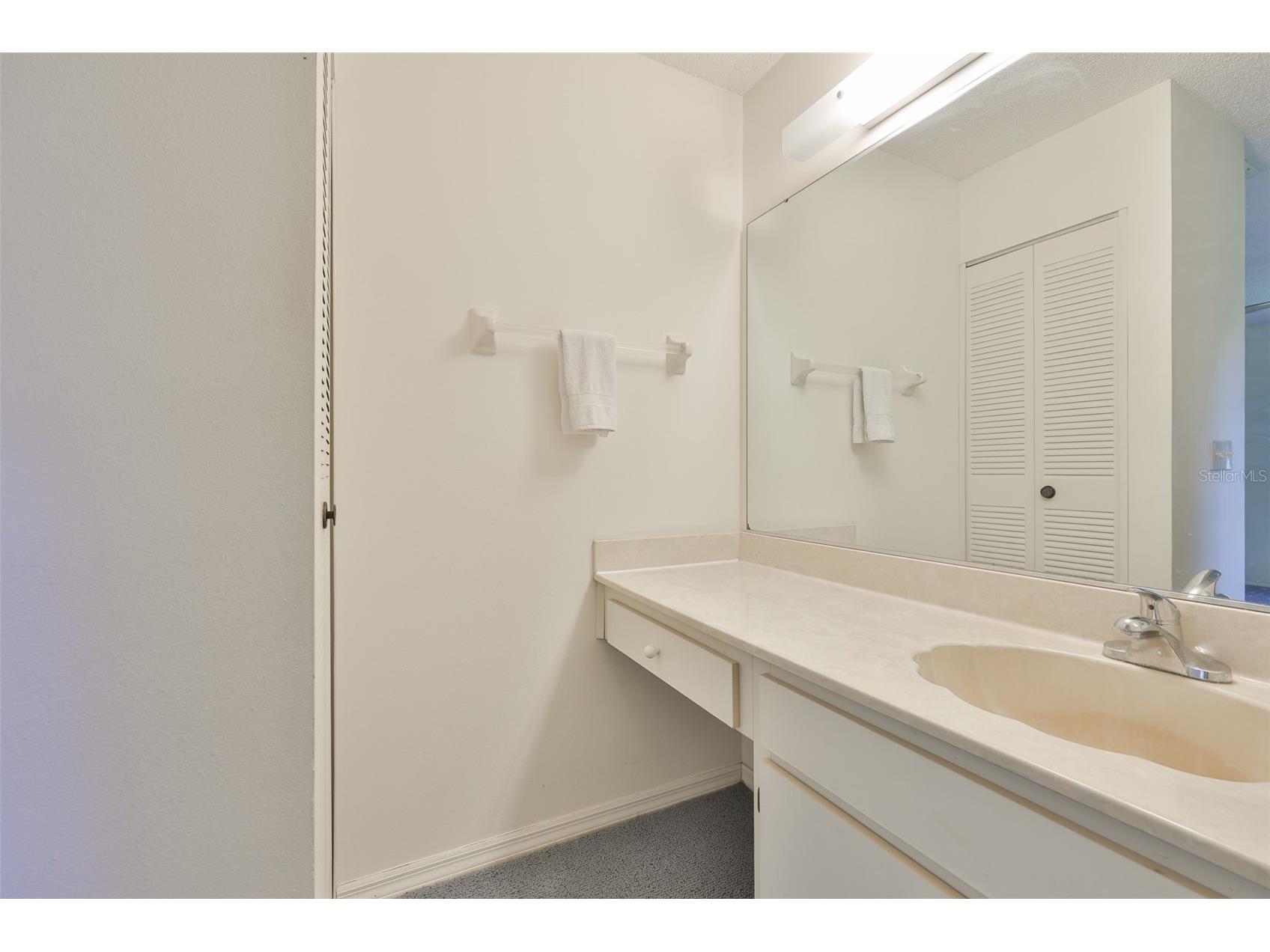 1618 Leland Drive Sun City Center FL 33573 TB8497553 image29