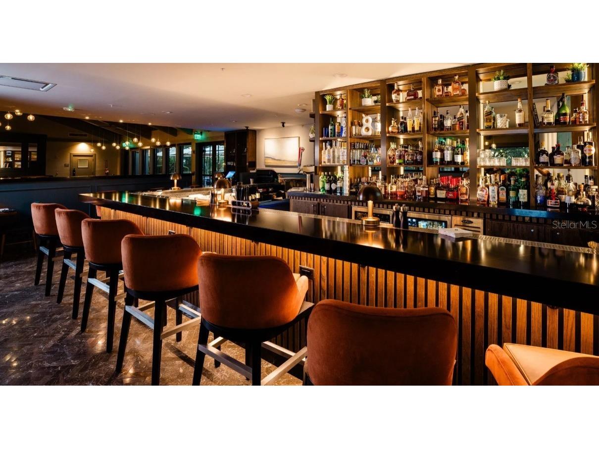 1618 Sandhill Court Palm Harbor FL 34684 A4675190 image17