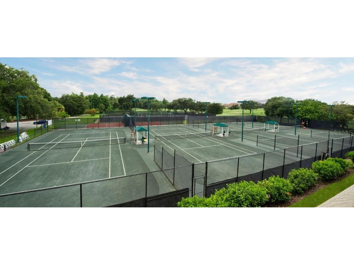 1618 Sandhill Court Palm Harbor FL 34684 A4675190 image9