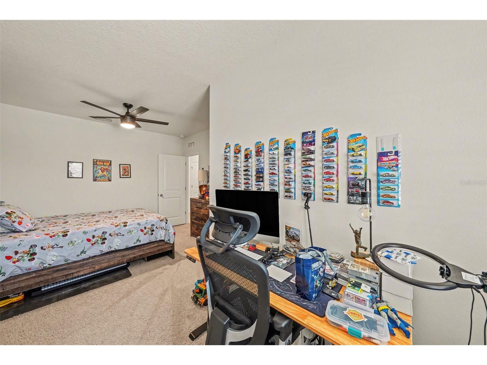 16180 Glowing Grove Avenue Odessa FL 33556 W7885111 image17