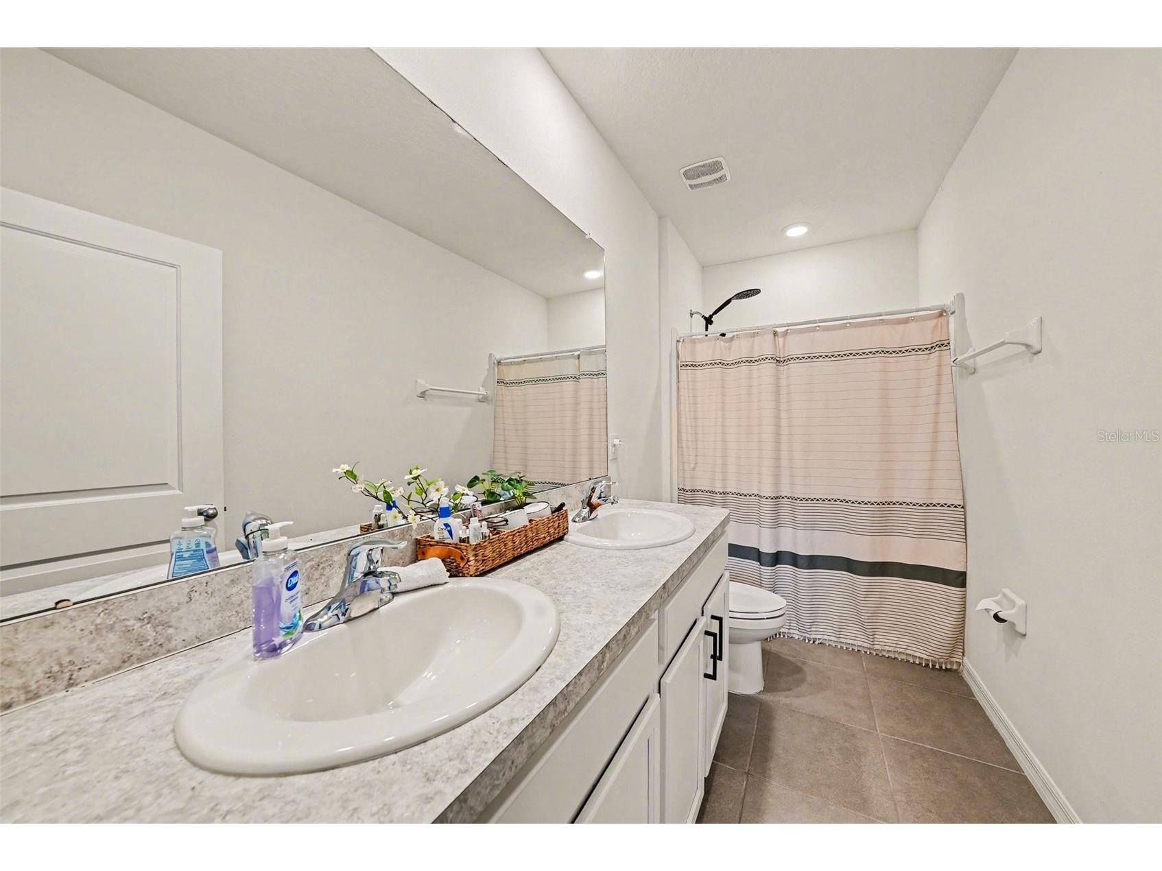 16180 Glowing Grove Avenue Odessa FL 33556 W7885111 image24