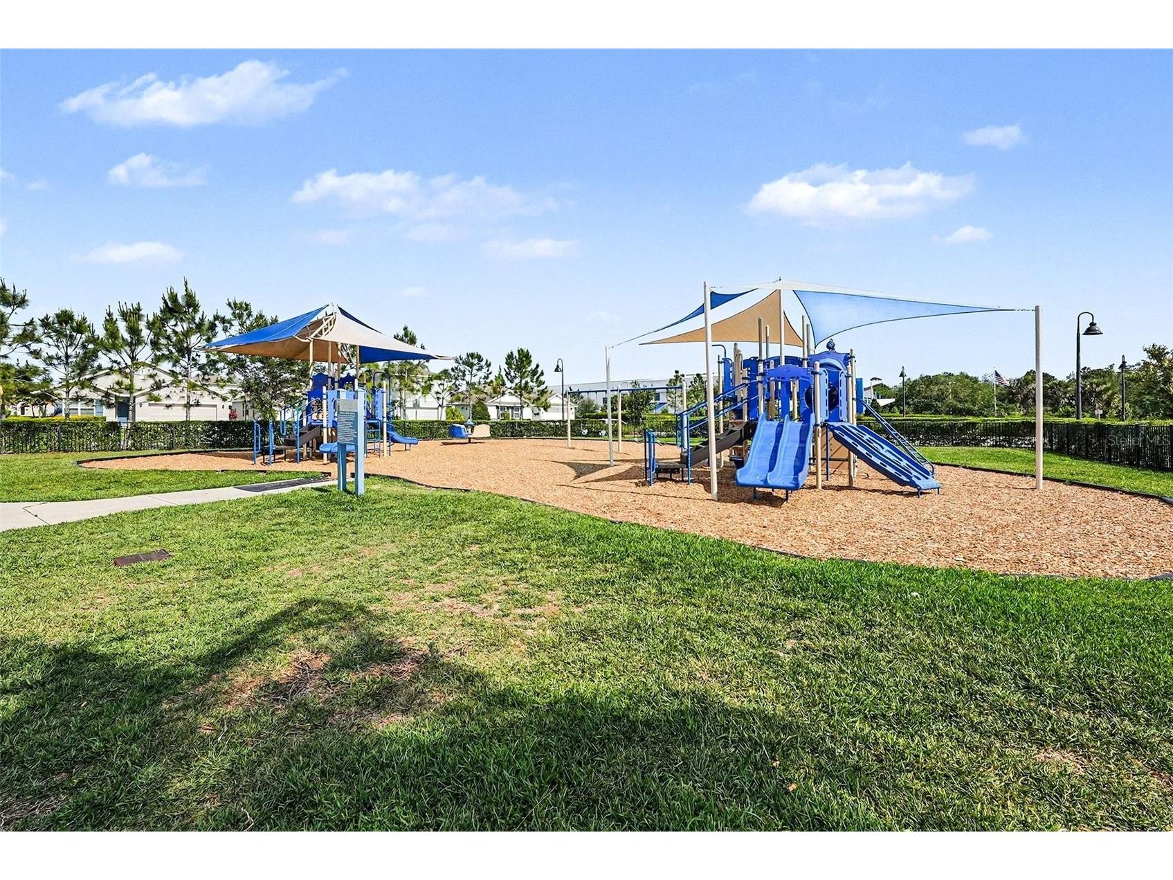 16180 Glowing Grove Avenue Odessa FL 33556 W7885111 image29