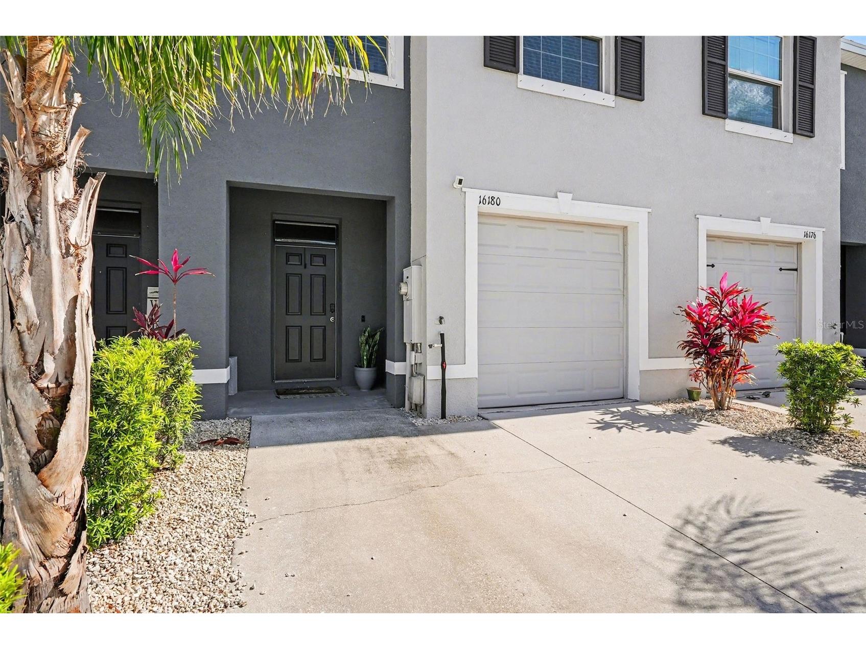 16180 Glowing Grove Avenue Odessa FL 33556 W7885111 image3