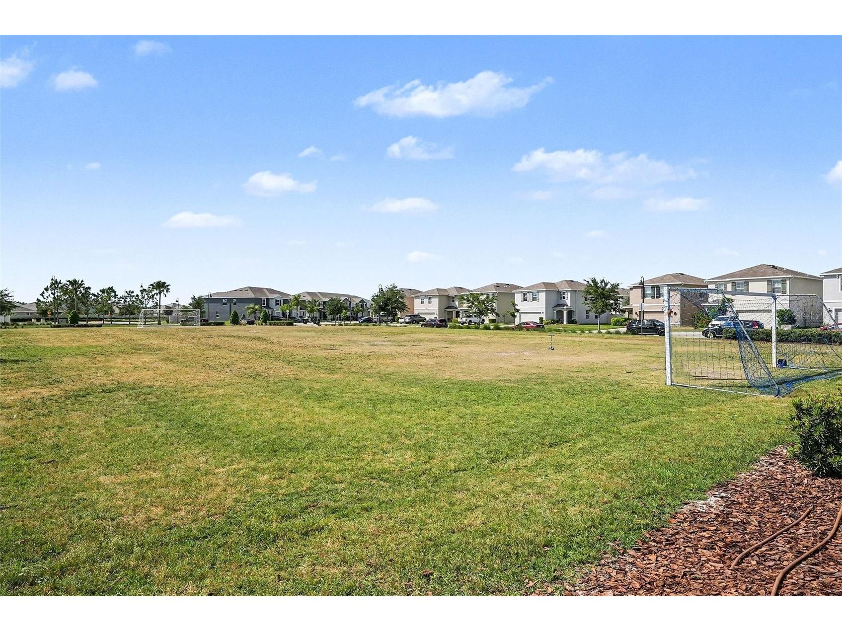16180 Glowing Grove Avenue Odessa FL 33556 W7885111 image32