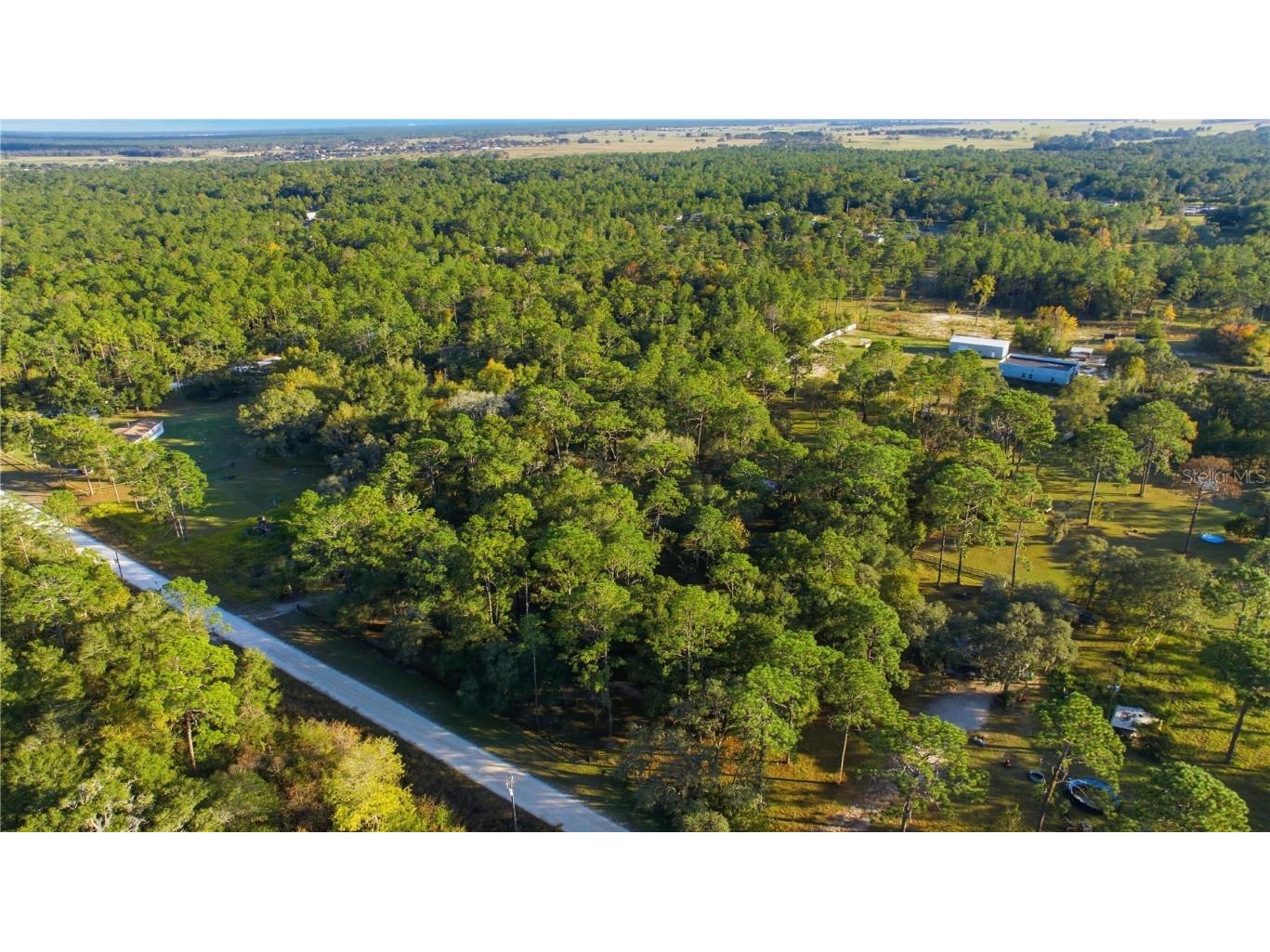 16180 SW 36th Street Ocala FL 34481 OM713188 image28