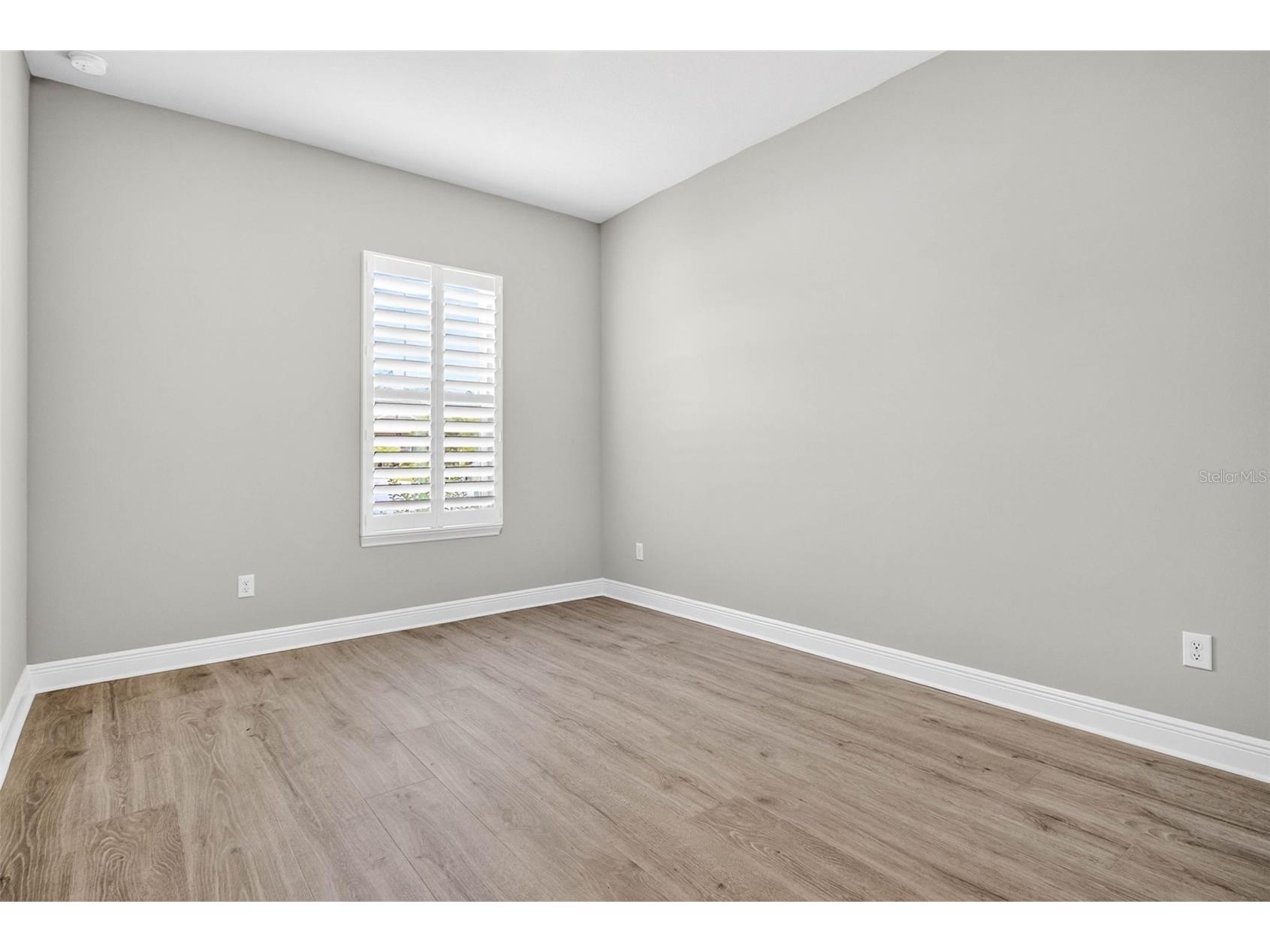 16181 November Rain Court Land O Lakes FL 34638 TB8506876 image38