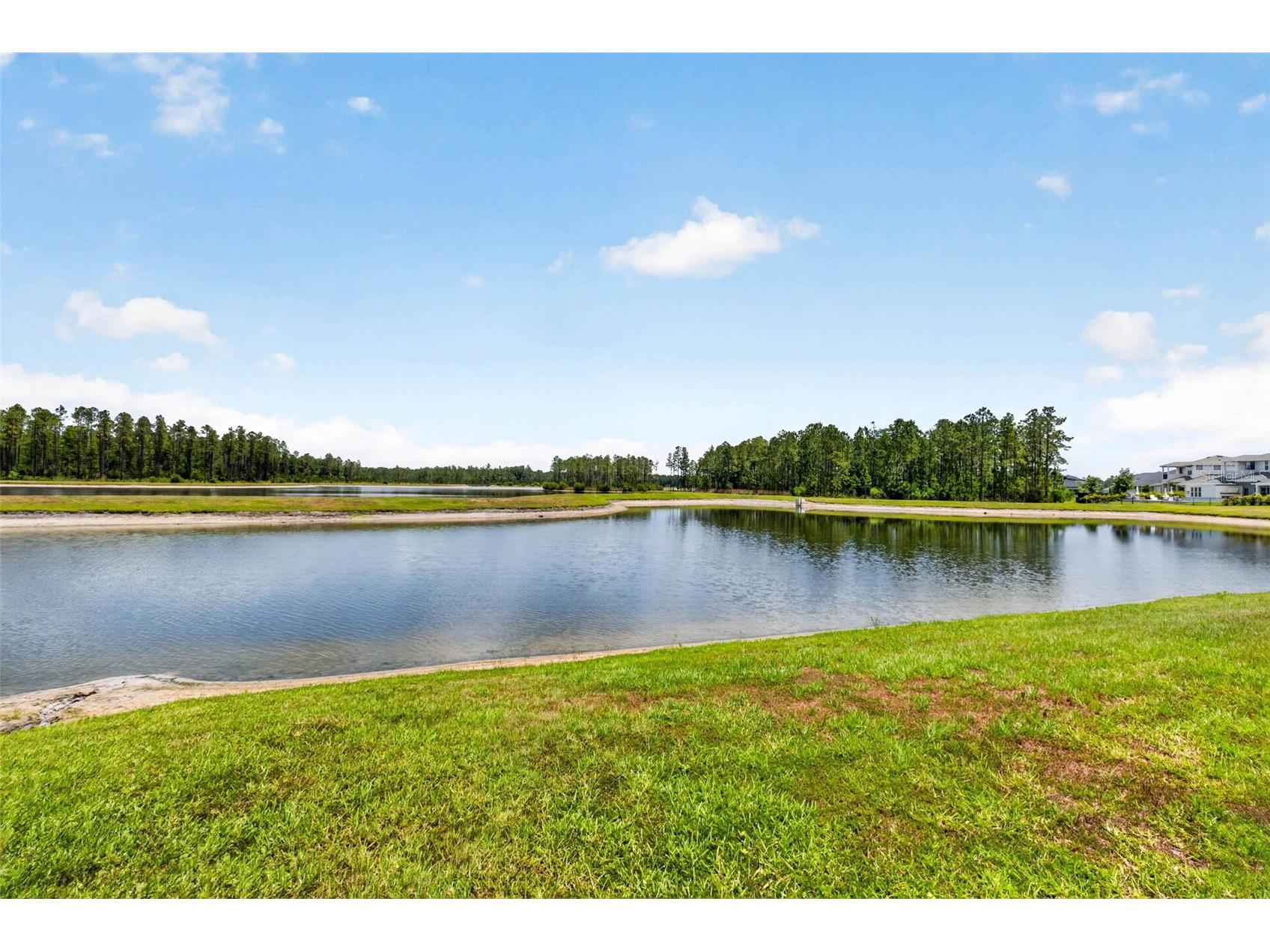 16181 November Rain Court Land O Lakes FL 34638 TB8506876 image58