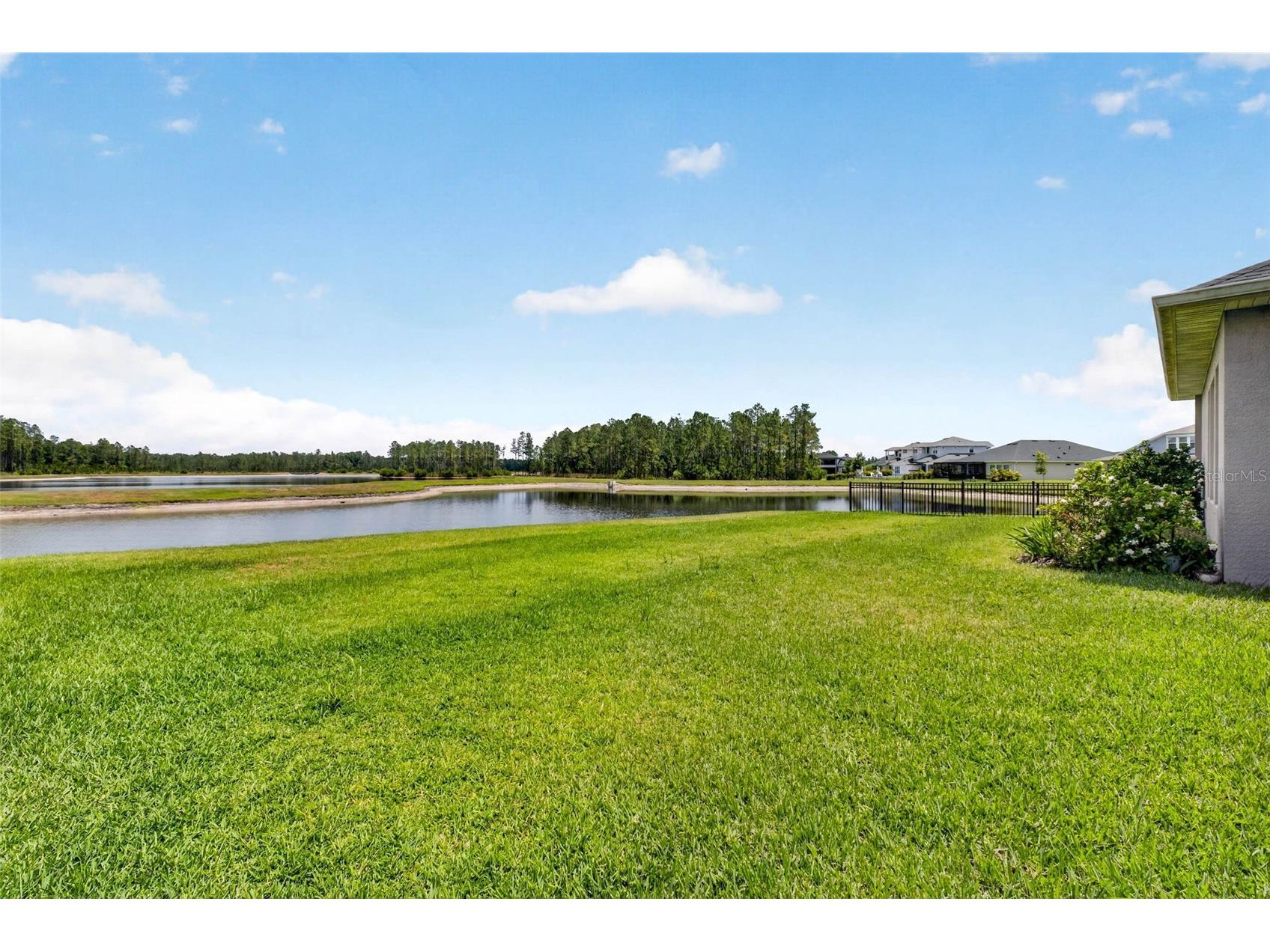 16181 November Rain Court Land O Lakes FL 34638 TB8506876 image59